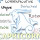 Unveiling January 7 Astrology: Personality Traits & More | Astrology Inaction: Discover the Hidden Power of the Stars