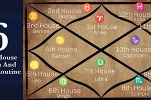 Vedic Astrology: Decoding the 6th House Astrology Inaction: Discover the Hidden Power of the Stars Vedic Astrology: Decoding the 6th House | Astrology Inaction: Discover the Hidden Power of the Stars