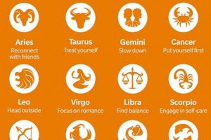 Your Guide to Fall Astrology Signs: Libra, Scorpio, & Sagittarius | Astrology Inaction: Discover the Hidden Power of the Stars
