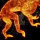 Unraveling the Fire Monkey: Chinese Astrology Insights | Astrology Inaction: Discover the Hidden Power of the Stars