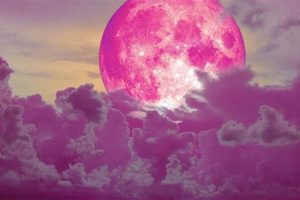 Pink Moon 2024 Astrology: Meaning & Impact Safem Fabrication - Precision Engineering & Custom Manufacturing Solutions Pink Moon 2024 Astrology: Meaning & Impact | Safem Fabrication - Precision Engineering & Custom Manufacturing Solutions