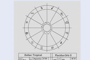 Free Vedic Astrology Chart: Birth Chart Reading | Safem Fabrication - Precision Engineering & Custom Manufacturing Solutions