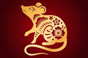 Astrology Rat | Safem Fabrication - Precision Engineering & Custom Manufacturing Solutions