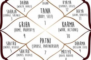 Your Free Vedic Astrology Natal Chart & Reading | Safem Fabrication - Precision Engineering & Custom Manufacturing Solutions