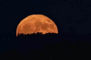 Unlocking the Beaver Moon 2024 Astrology | Safem Fabrication - Precision Engineering & Custom Manufacturing Solutions
