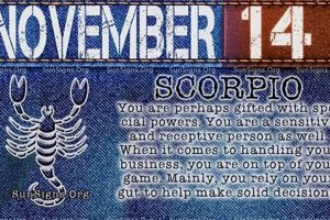 November 19 Astrology: Personality & Traits | Safem Fabrication - Precision Engineering & Custom Manufacturing Solutions