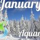 January 22nd Astrology: Personality & Traits | Astrology Inaction: Discover the Hidden Power of the Stars