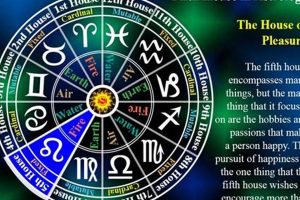 Understanding Capricorn in the 5th House | Safem Fabrication - Precision Engineering & Custom Manufacturing Solutions