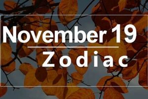 Personality of a November 19 Zodiac: Scorpio-Sagittarius Cusp Astrology Inaction: Discover the Hidden Power of the Stars Personality of a November 19 Zodiac: Scorpio-Sagittarius Cusp | Astrology Inaction: Discover the Hidden Power of the Stars