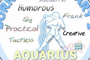 Zodiac Sign for February 4: Personality Traits & More | Safem Fabrication - Precision Engineering & Custom Manufacturing Solutions