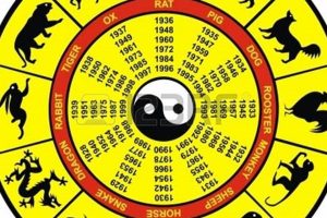 Your Chinese Astrology Today: Insights & Guidance Safem Fabrication - Precision Engineering & Custom Manufacturing Solutions Your Chinese Astrology Today: Insights & Guidance | Safem Fabrication - Precision Engineering & Custom Manufacturing Solutions