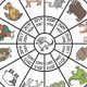Unlock Your Destiny: Chinese Astrology Wheel Explained | Astrology Inaction: Discover the Hidden Power of the Stars