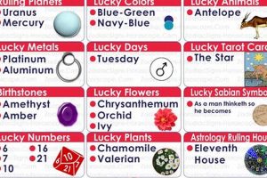 Zodiac Sign for February 5: Personality & Traits Astrology Inaction: Discover the Hidden Power of the Stars Zodiac Sign for February 5: Personality & Traits | Astrology Inaction: Discover the Hidden Power of the Stars