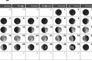 New Moon August 2024 Astrology: A Guide Astrology Inaction: Discover the Hidden Power of the Stars New Moon August 2024 Astrology: A Guide | Astrology Inaction: Discover the Hidden Power of the Stars