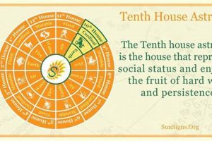 Understanding Sun in 10th House Astrology Astrology Inaction: Discover the Hidden Power of the Stars Understanding Sun in 10th House Astrology | Astrology Inaction: Discover the Hidden Power of the Stars