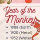 Understanding the Chinese Zodiac: Year of the Monkey | Astrology Inaction: Discover the Hidden Power of the Stars