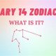Discover Your February 14 Astrology Sign | Astrology Inaction: Discover the Hidden Power of the Stars