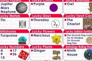 Dec 7 Astrology: Zodiac, Traits & More Astrology Inaction: Discover the Hidden Power of the Stars Dec 7 Astrology: Zodiac, Traits & More | Astrology Inaction: Discover the Hidden Power of the Stars