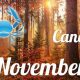 Cancer November 2024 Horoscope & Astrology | Astrology Inaction: Discover the Hidden Power of the Stars