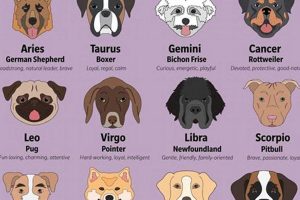 Dog Astrology Safem Fabrication - Precision Engineering & Custom Manufacturing Solutions Dog Astrology | Safem Fabrication - Precision Engineering & Custom Manufacturing Solutions
