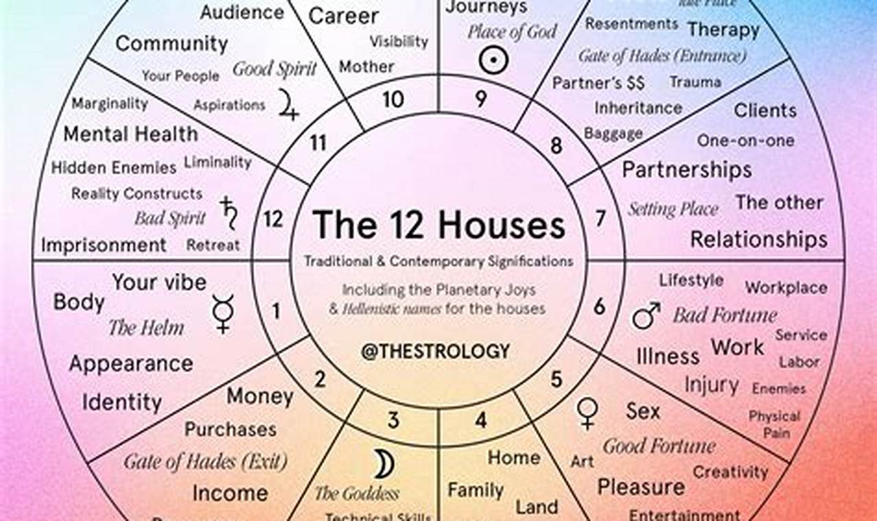 understanding-10th-house-astrology-a-guide