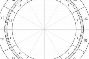 Free Astrology Blank Chart Wheel: Download & Print Astrology Inaction: Discover the Hidden Power of the Stars Free Astrology Blank Chart Wheel: Download & Print | Astrology Inaction: Discover the Hidden Power of the Stars