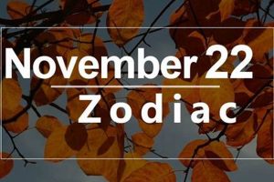 Zodiac Sign for Nov 22: Personality & Traits Safem Fabrication - Precision Engineering & Custom Manufacturing Solutions Zodiac Sign for Nov 22: Personality & Traits | Safem Fabrication - Precision Engineering & Custom Manufacturing Solutions