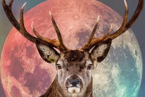 The Buck Moon 2024: Astrology Insights & Guide Astrology Inaction: Discover the Hidden Power of the Stars The Buck Moon 2024: Astrology Insights & Guide | Astrology Inaction: Discover the Hidden Power of the Stars