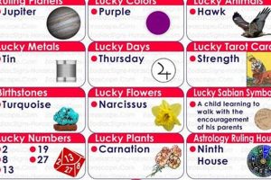 Your December 11th Zodiac Sign Revealed | Safem Fabrication - Precision Engineering & Custom Manufacturing Solutions