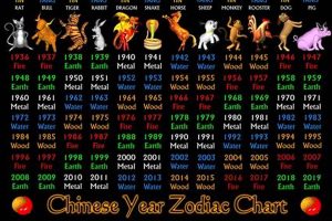 Chinese Astrology 1996 Astrology Inaction: Discover the Hidden Power of the Stars Chinese Astrology 1996 | Astrology Inaction: Discover the Hidden Power of the Stars