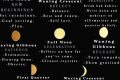 Astrology: New Moon Meaning & Significance Astrology Inaction: Discover the Hidden Power of the Stars Astrology: New Moon Meaning & Significance | Astrology Inaction: Discover the Hidden Power of the Stars
