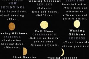 Astrology: New Moon Meaning & Significance | Astrology Inaction: Discover the Hidden Power of the Stars