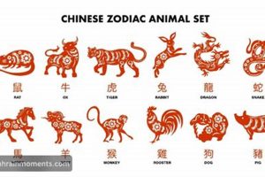 Your Chinese Astrology Daily Horoscope & Forecast Astrology Inaction: Discover the Hidden Power of the Stars Your Chinese Astrology Daily Horoscope & Forecast | Astrology Inaction: Discover the Hidden Power of the Stars