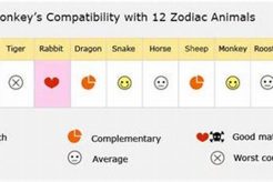 Chinese Zodiac Monkey: Compatibility Guide Astrology Inaction: Discover the Hidden Power of the Stars Chinese Zodiac Monkey: Compatibility Guide | Astrology Inaction: Discover the Hidden Power of the Stars