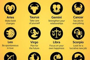 Your Guide to Summer Astrology Signs Explained | Astrology Inaction: Discover the Hidden Power of the Stars