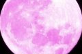 June Strawberry Moon Astrology Guide 2024 | Astrology Inaction: Discover the Hidden Power of the Stars