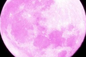 June Strawberry Moon Astrology Guide 2024 | Astrology Inaction: Discover the Hidden Power of the Stars