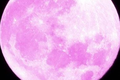 June Strawberry Moon Astrology Guide 2024 Astrology Inaction: Discover the Hidden Power of the Stars June Strawberry Moon Astrology Guide 2024 | Astrology Inaction: Discover the Hidden Power of the Stars