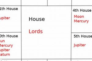 Understanding the 12 Houses of Astrology & Their Lords | Astrology Inaction: Discover the Hidden Power of the Stars