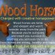 Understanding the Chinese Astrology Wood Horse | Astrology Inaction: Discover the Hidden Power of the Stars