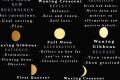 Understanding Moon Phases & Astrology Astrology Inaction: Discover the Hidden Power of the Stars Understanding Moon Phases & Astrology | Astrology Inaction: Discover the Hidden Power of the Stars