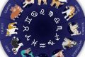 Decode Your Dog: Canine Astrology Insights Astrology Inaction: Discover the Hidden Power of the Stars Decode Your Dog: Canine Astrology Insights | Astrology Inaction: Discover the Hidden Power of the Stars