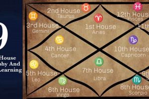 9th House Vedic Astrology Astrology Inaction: Discover the Hidden Power of the Stars 9th House Vedic Astrology | Astrology Inaction: Discover the Hidden Power of the Stars