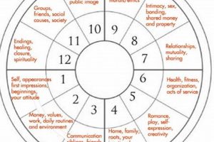 Career House Astrology | Astrology Inaction: Discover the Hidden Power of the Stars