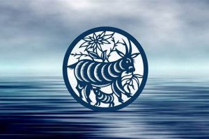 Understanding the Water Goat: Chinese Astrology Guide Astrology Inaction: Discover the Hidden Power of the Stars Understanding the Water Goat: Chinese Astrology Guide | Astrology Inaction: Discover the Hidden Power of the Stars