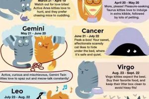 Your Cat's Astrological Sign: A Fun Guide | Astrology Inaction: Discover the Hidden Power of the Stars