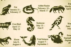 Discover Your Celtic Astrology Animal Sign Astrology Inaction: Discover the Hidden Power of the Stars Discover Your Celtic Astrology Animal Sign | Astrology Inaction: Discover the Hidden Power of the Stars