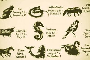 Discover Your Celtic Astrology Animal Sign | Astrology Inaction: Discover the Hidden Power of the Stars