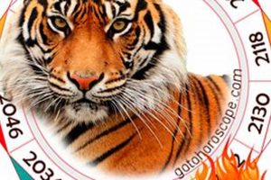 Unleash Your Inner Fire Tiger: Astrology Guide Astrology Inaction: Discover the Hidden Power of the Stars Unleash Your Inner Fire Tiger: Astrology Guide | Astrology Inaction: Discover the Hidden Power of the Stars