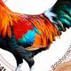 Understanding the Wood Rooster: Chinese Astrology Guide | Astrology Inaction: Discover the Hidden Power of the Stars